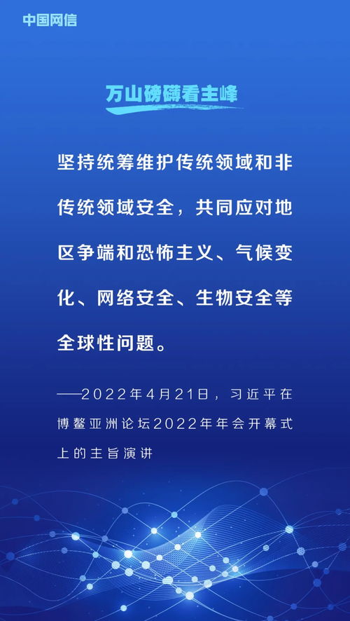 网络安全顾问眼中的梅花易数软件版本解析，YE版 v8.119的稳定性策略与防御能力探讨
