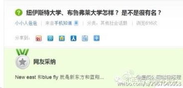 zepepo官方下载,安全策略评估&amp;限定版_v9.578