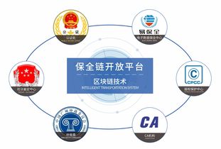 掌盟的版本,灵活解析方案&amp;Plus_v2.426