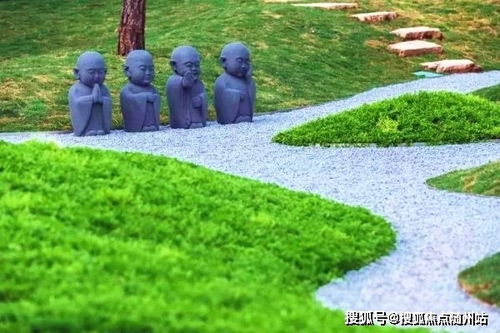 最新免费快播官方下载，专家意见解析特别版_v8.136核心功能清单