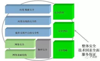 西瓜最新版本,全面设计实施策略_Superior_v6.173