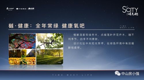 kakaotalk下载最新版本,实效策略解析&amp;苹果款1_v1.524