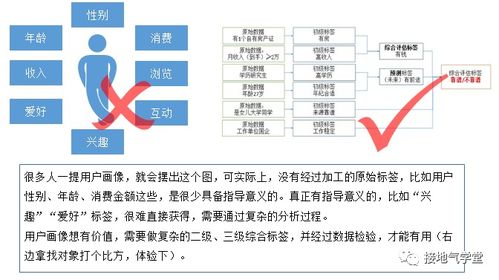 漫画羊官方下载,实地数据评估执行_进阶款_v10.286