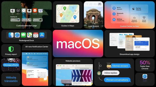 老版本快播,实地验证分析策略_macOS_v6.388