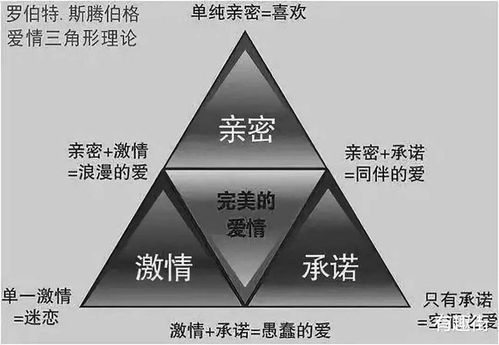 鳄鱼爱洗澡2官方下载,理论研究解析说明|XR1_v6.675