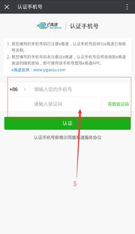 微信 低版本 苹果,定性分析说明|Harmony款_v2.134