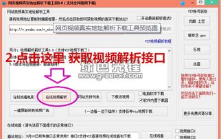 官方厨房软件下载,实际数据说明|顶级款_v9.978