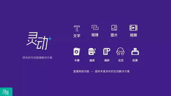 爽爽影视官方下载,互动策略解析&领航款_v3.961