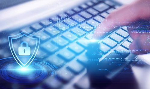 网络安全顾问眼中的安全软件——都秀官方下载，快速设计解析问题桌面版_v3.411深度分析