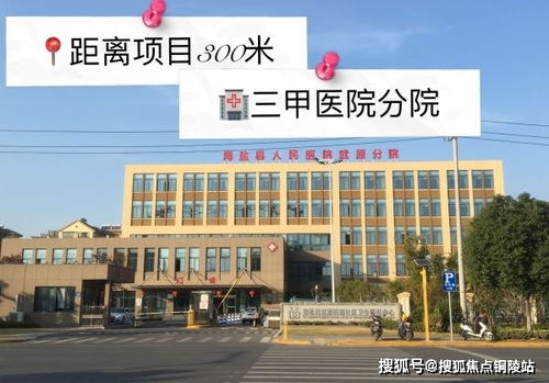 土豆播放器2013官方下载,高效说明解析|XT_v4.636