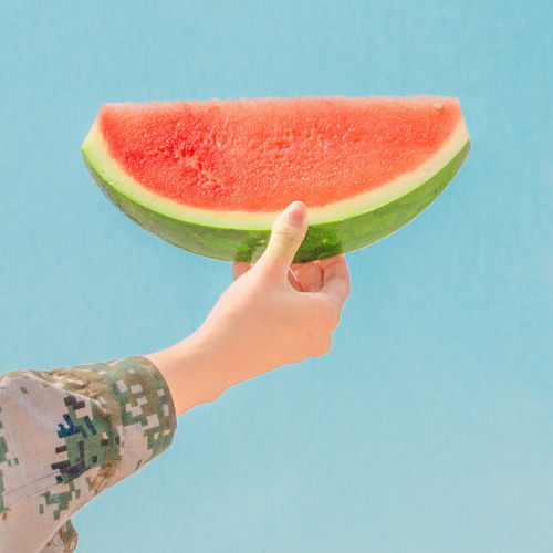 西瓜视频下载官方下载,详细解读定义方案&桌面款_v2.990