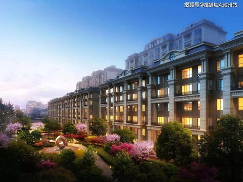 inscopy官方下载,全面计划解析-钱包版_v3.458