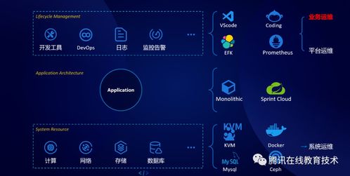 2025年11月19日 第3页