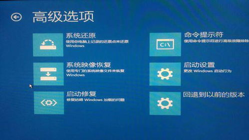 惊梦下载安官方,快速响应计划分析_DP_v10.855