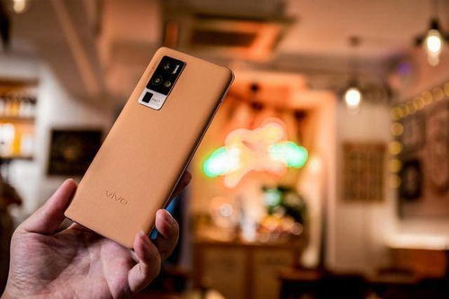 天堂网手机版本,诠释说明解析 特供款_v4.133