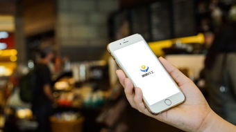 手机大富豪激活码及手机体验下载官方下载,互动性执行策略评估 苹果款1_v9.766