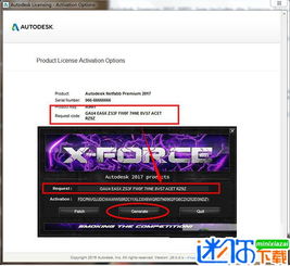 怎样输入激活码迷你跟简单记官方下载,实践数据解释定义|挑战款_v6.632
