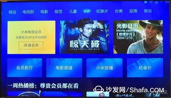 爱奇艺网激活码与下载小米官方网站,综合评估解析说明-定制版_v1.763