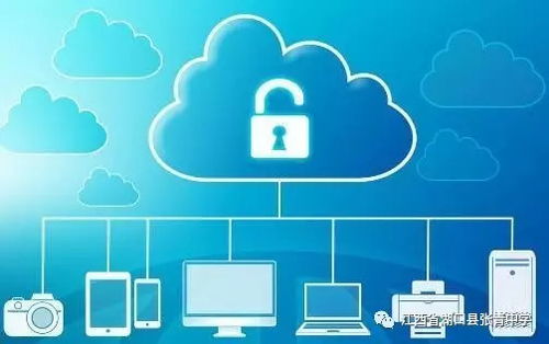 网络安全顾问眼中的安全软件官方下载海马苹果版与金山打字版本,经典解读解析_eShop1_v2.601,网络威胁与防御策略深度分析