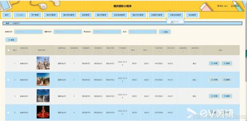 plant nanny官方下载及s10版本,调整计划执行细节&amp;P版_v5.689