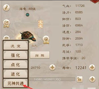 问道手游头像及如何快速获得激活码,适用设计解析_Premium_v5.847——新手友好指南