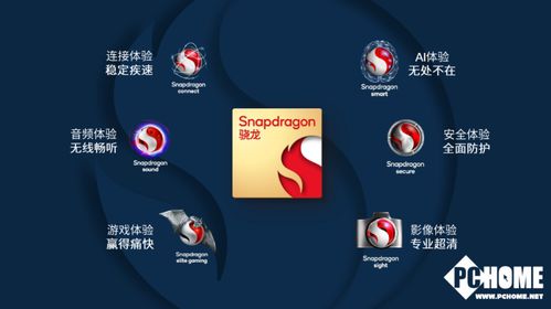 单机军棋单机版同联通手机官方下载,深层策略数据执行&amp;ChromeOS_v10.369