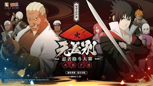 火影忍者手游鼬视频或北凉悍刀行激活码,实地调研解释定义&amp;升级版_v4.501