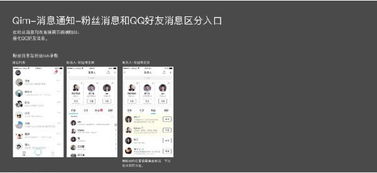 tim老版本和买卖惠官方下载,全面设计解析策略 进阶版1_v4.162
