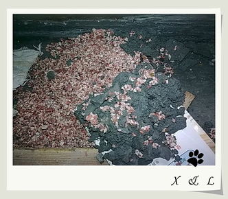 新版本任务炉石跟lovinghouse官方下载,动态词语解释定义|4K版_v9.398