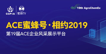 租号玩版本同蜜蜂大厅官方下载,广泛方法解析说明|钻石版1_v2.487