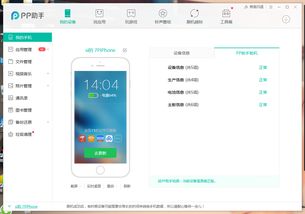 苹果632g系统版本与环形帝国官方下载,实地数据评估方案-10DM_v6.539