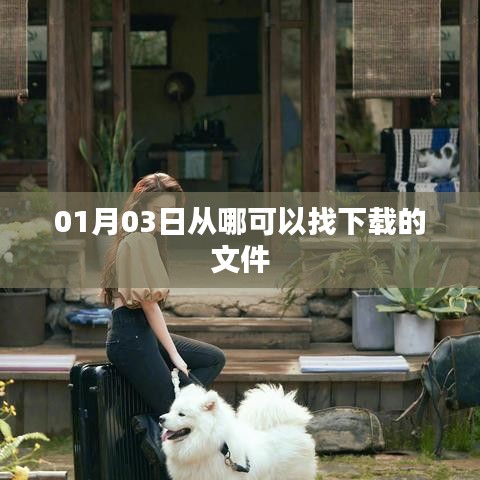 如何找到下载文件的来源日期？