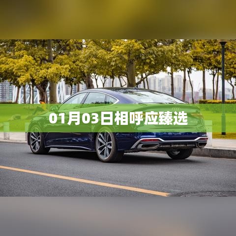 继晷焚膏 第2页