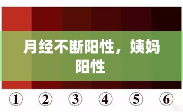 月经不断阳性，姨妈阳性 