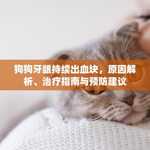 案例展示 第101页
