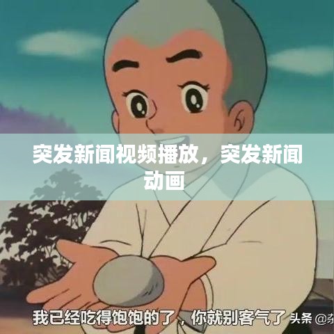 突发新闻视频播放，突发新闻动画 