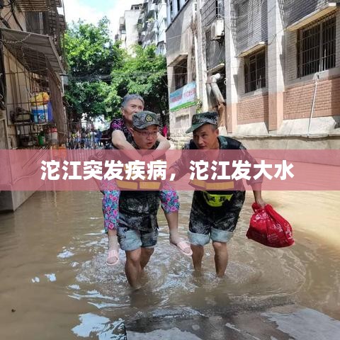 生产设备 第99页