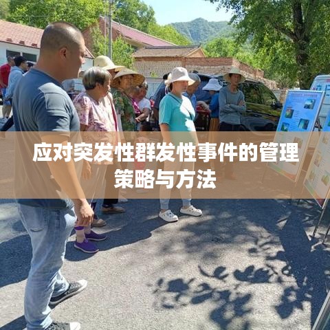 联系我们 第95页
