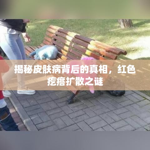 虫蚀鸟步 第2页