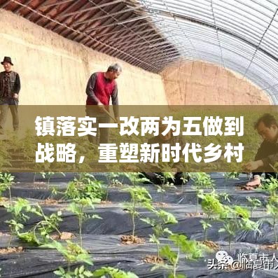 镇落实一改两为五做到战略，重塑新时代乡村魅力