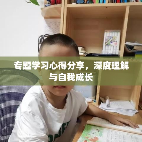 专题学习心得分享，深度理解与自我成长