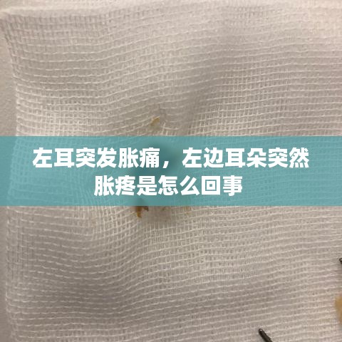 奔走如飞 第2页