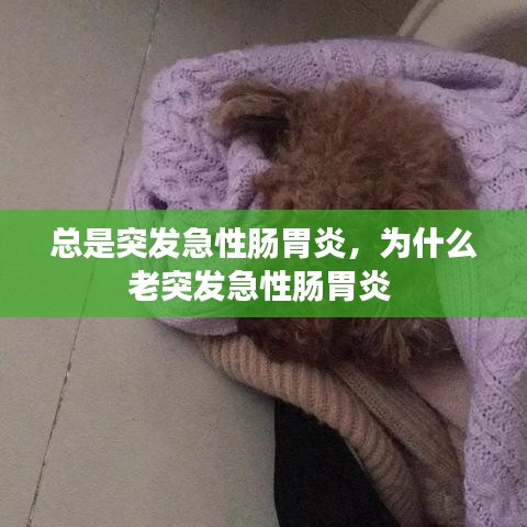 总是突发急性肠胃炎，为什么老突发急性肠胃炎 