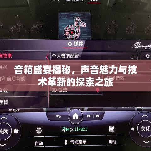 音箱盛宴揭秘，声音魅力与技术革新的探索之旅