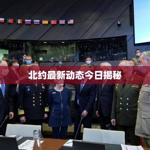 北约最新动态今日揭秘