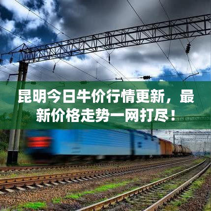 两袖清风 第2页