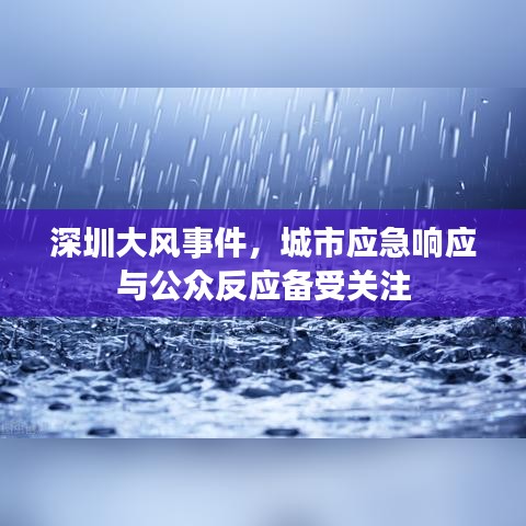 深圳大风事件，城市应急响应与公众反应备受关注