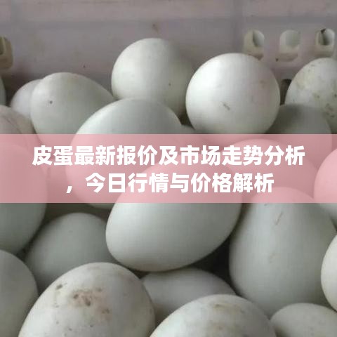 皮蛋最新报价及市场走势分析，今日行情与价格解析