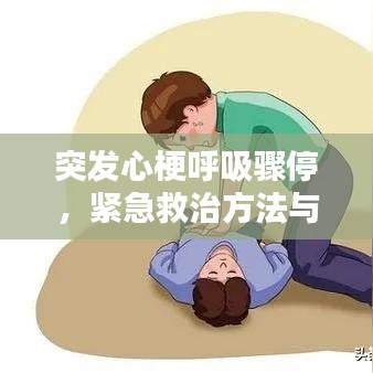 不求甚解 第2页