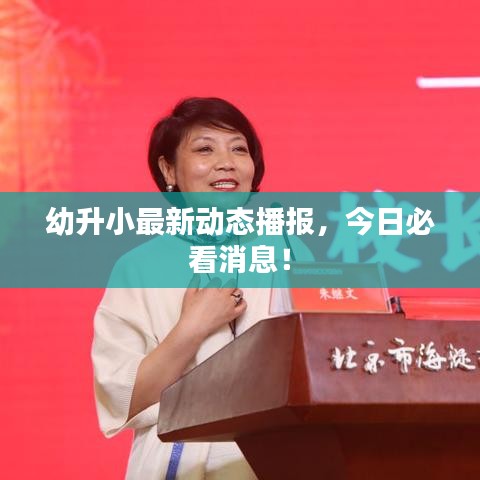 幼升小最新动态播报，今日必看消息！